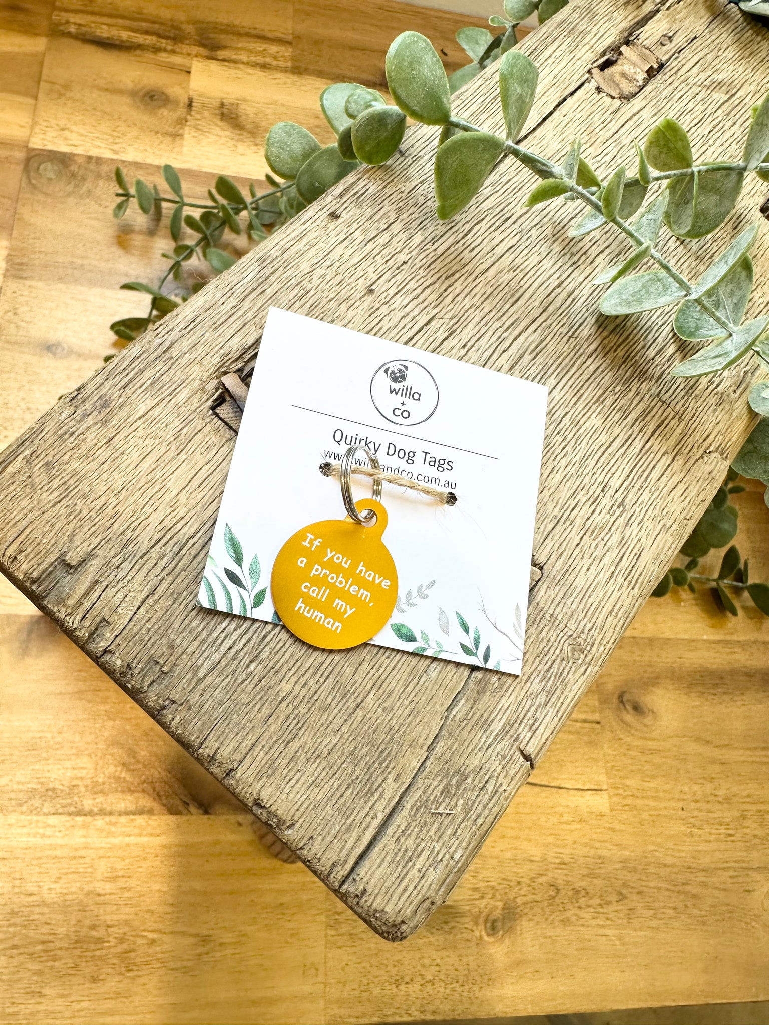 Quirky Dog Tags
