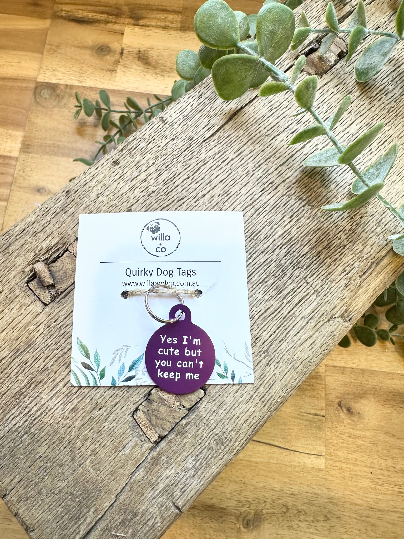 Quirky Dog Tags