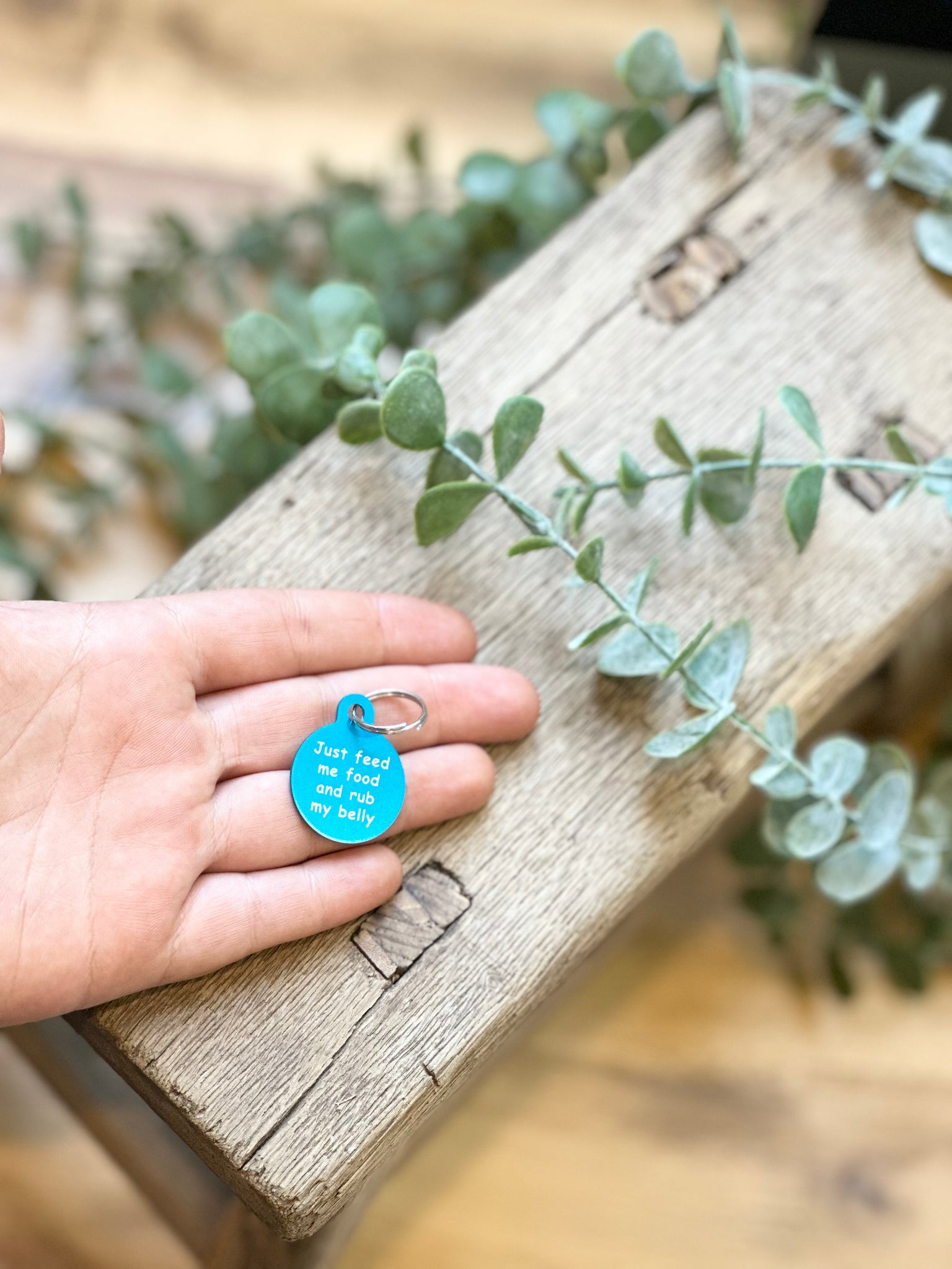 Quirky Dog Tags