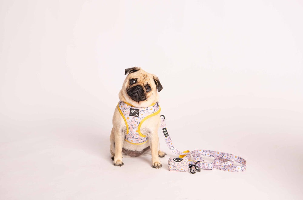 Adjustable Harness - Floral