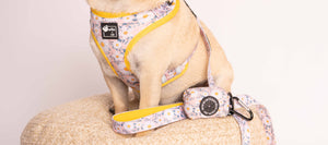 Poop Bag Holder - Floral
