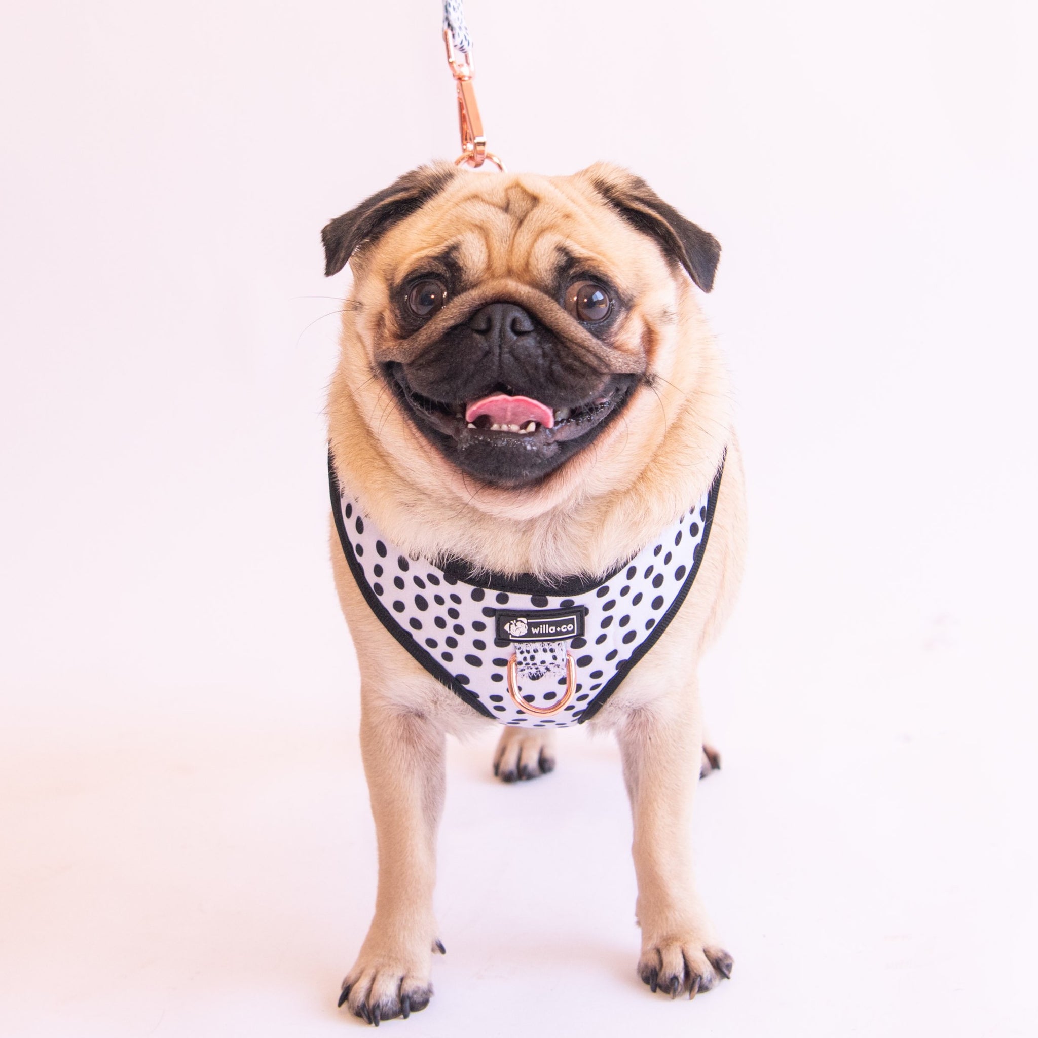 NEW - Adjustable Harness Dots