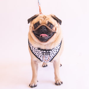 NEW - Adjustable Harness Dots
