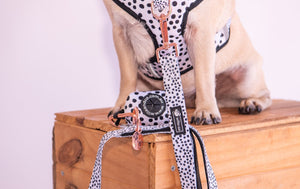 NEW - Adjustable Harness Dots