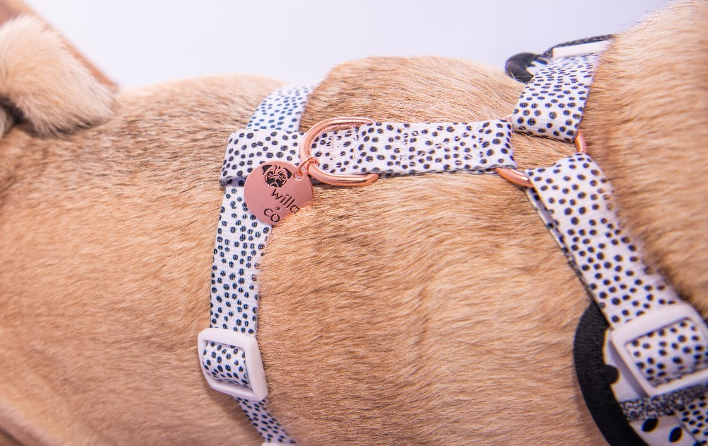 NEW - Adjustable Harness Dots