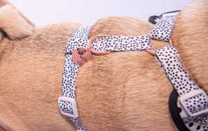 NEW - Adjustable Harness Dots