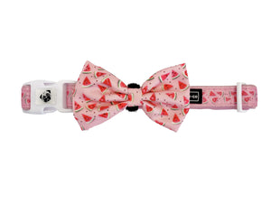 Collar & Bow Tie - Watermelon
