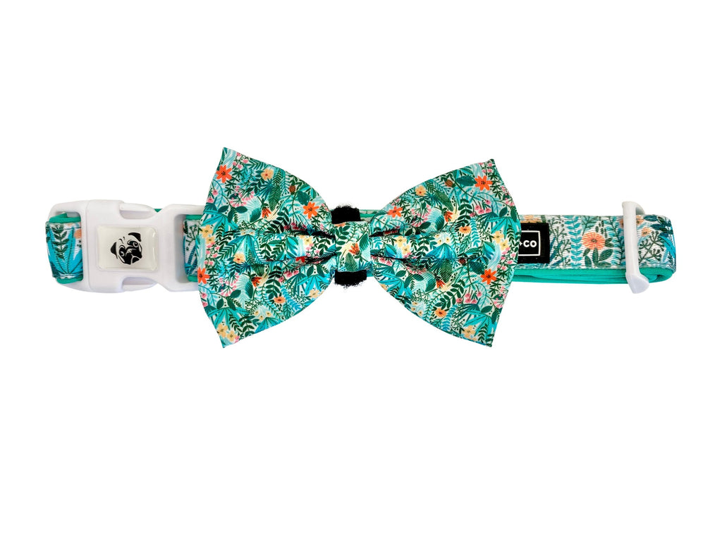 Collar & Bow Tie - Botanic