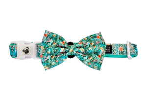 Collar & Bow Tie - Botanic