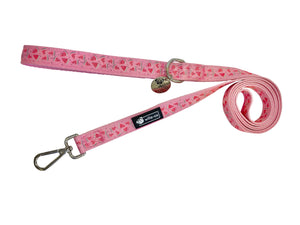 Leads - Watermelon
