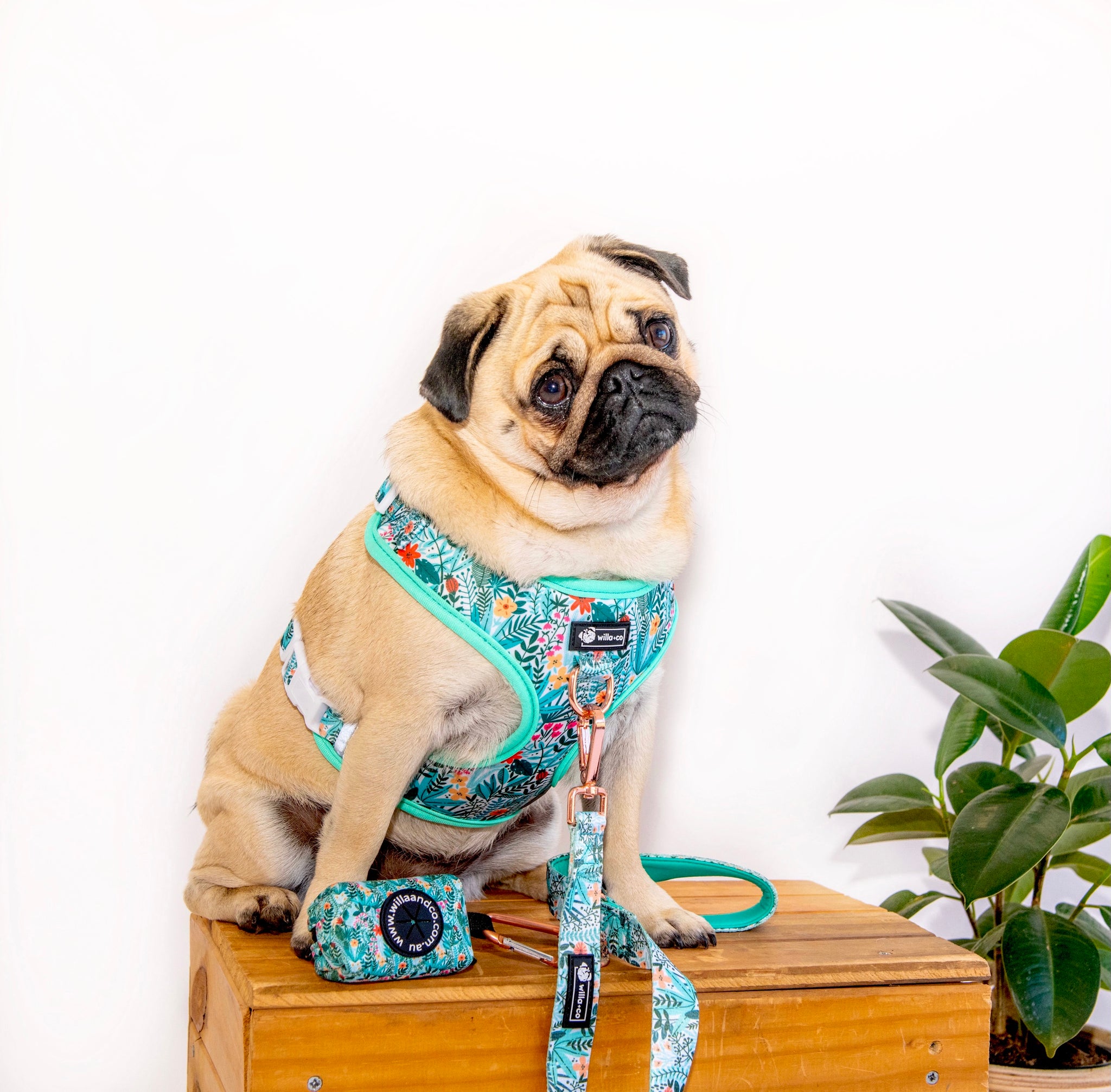 NEW Adjustable Harness - Botanic