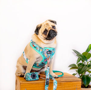NEW Adjustable Harness - Botanic