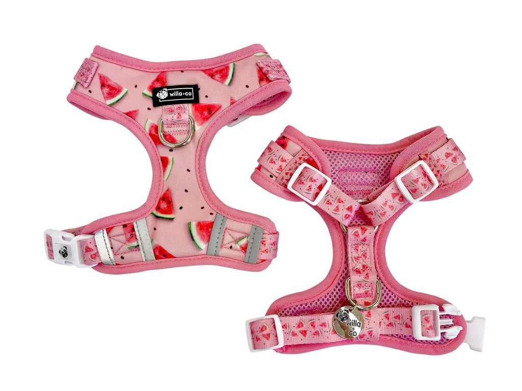 NEW Adjustable Harness - Watermelon