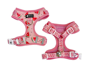 NEW Adjustable Harness - Watermelon