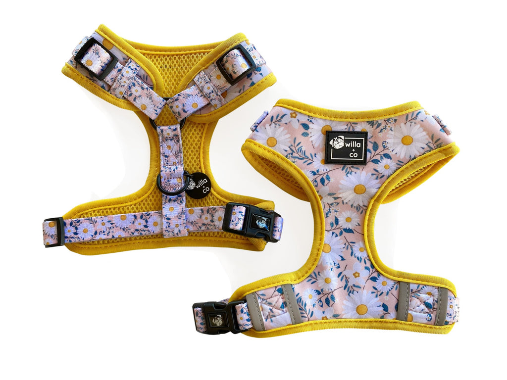 Adjustable Harness - Floral