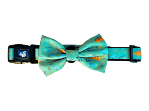 Collar & Bow Tie - Dinosaur