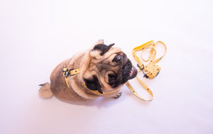 NEW Adjustable Harness - Bees