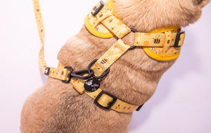 NEW Adjustable Harness - Bees