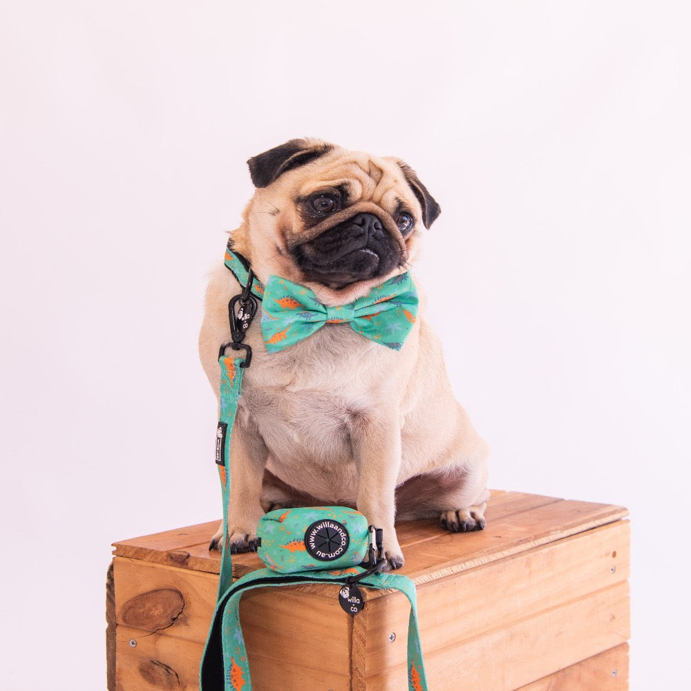 Collar & Bow Tie - Dinosaur