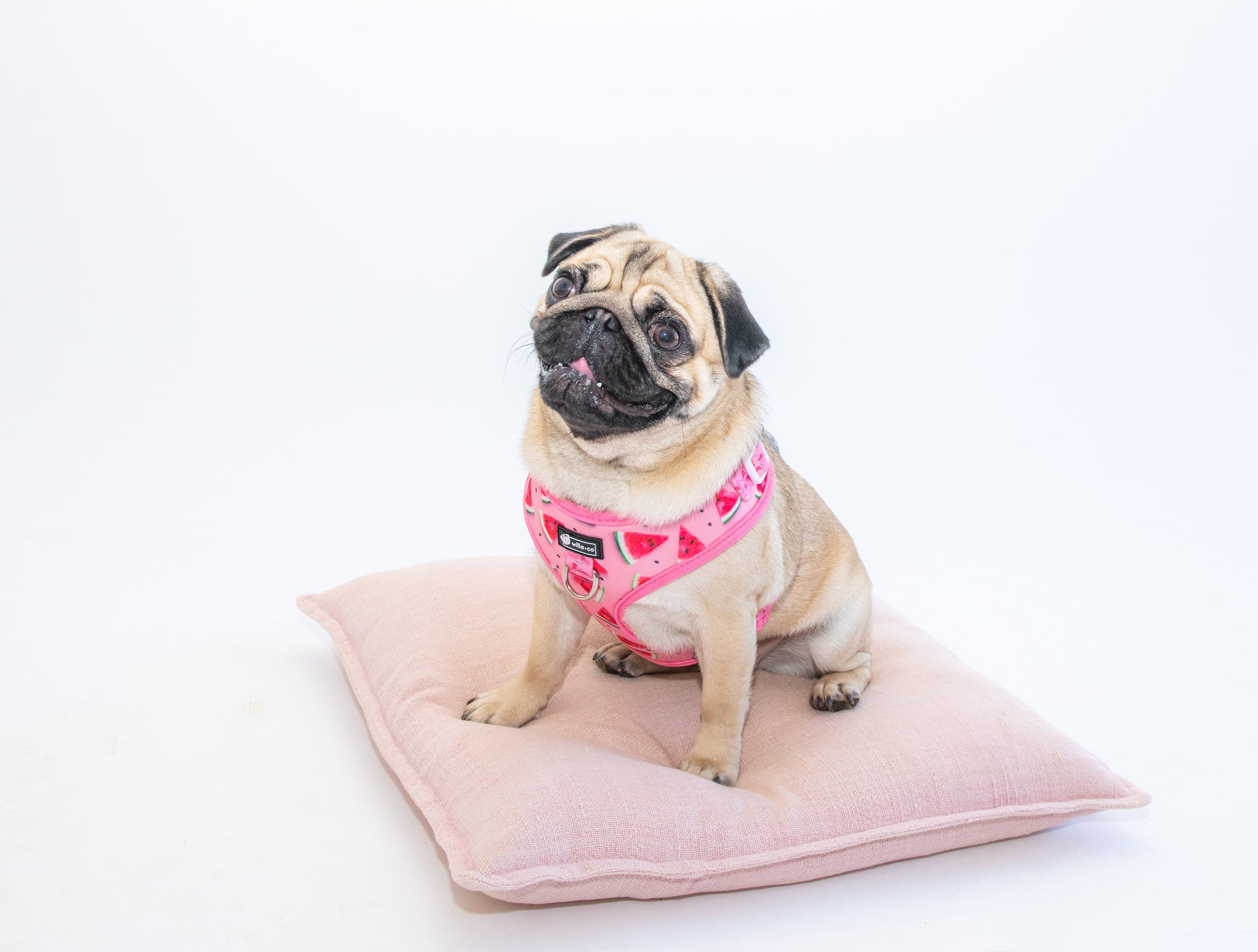 NEW Adjustable Harness - Watermelon