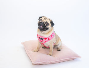 NEW Adjustable Harness - Watermelon