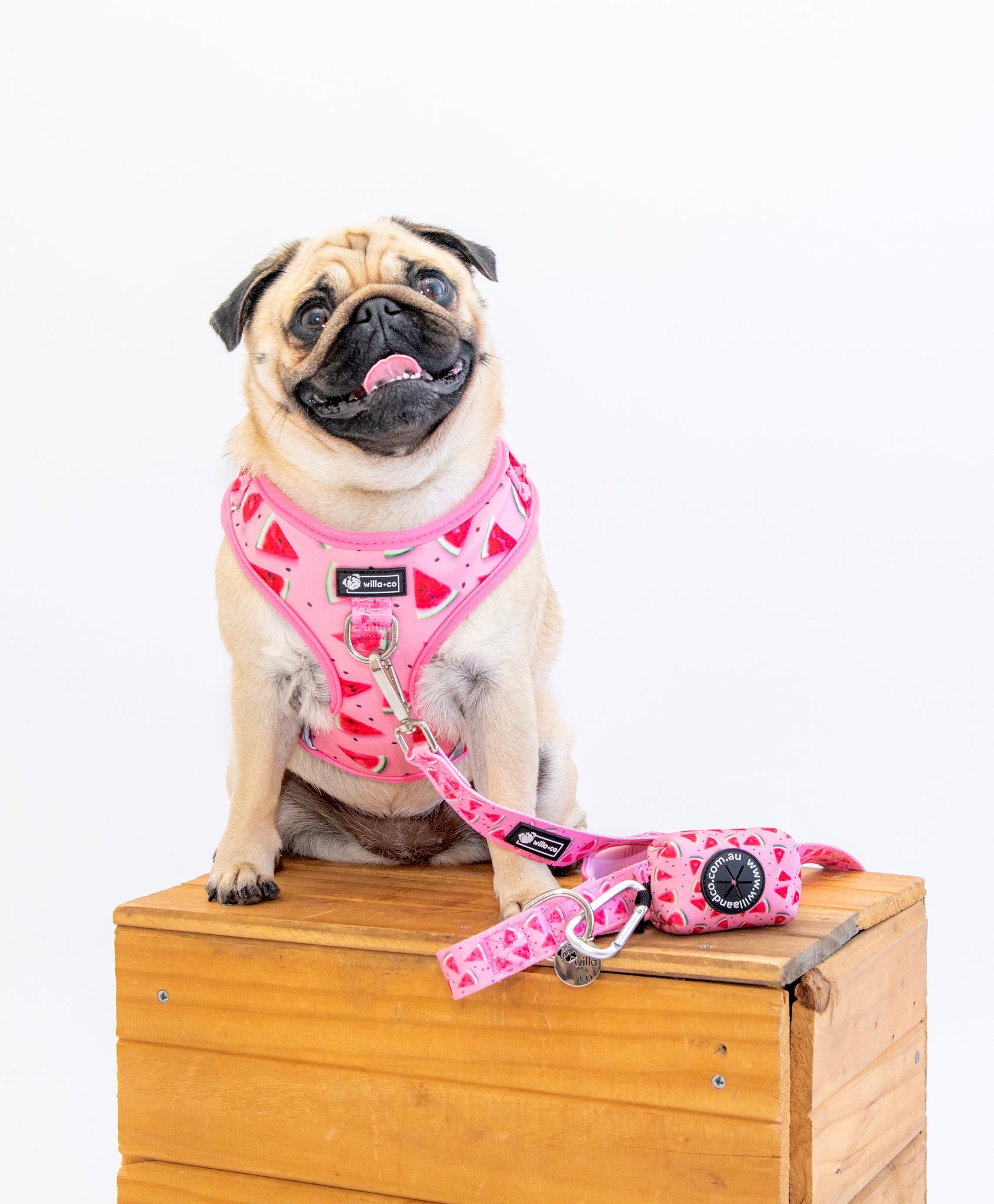 Poop Bag Holder - Watermelon