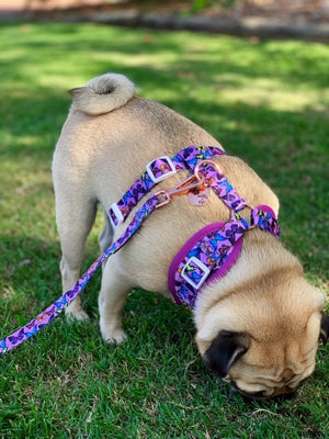 Adjustable Harness- Butterfly