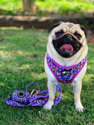 Adjustable Harness- Butterfly