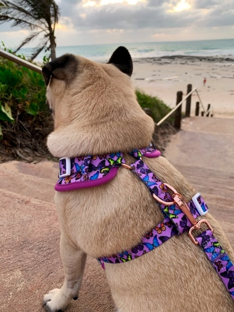 Adjustable Harness- Butterfly