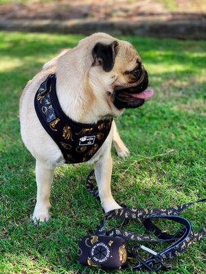 Poop Bag Holder- Leopard