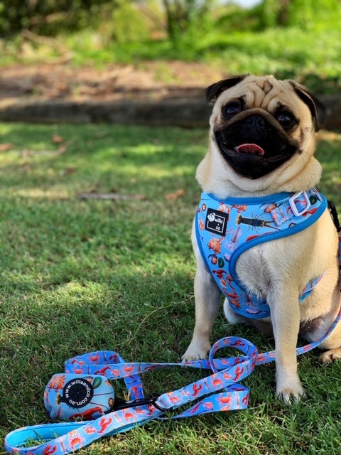 Adjustable Harness- Seafood