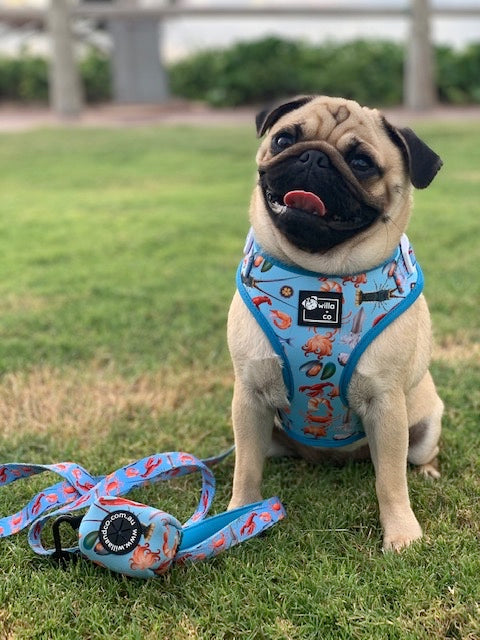 Adjustable Harness- Seafood