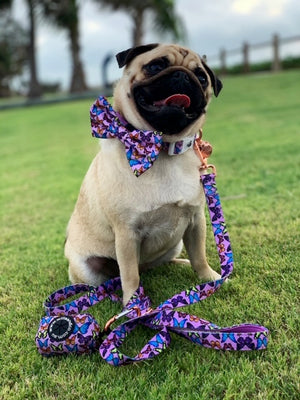 Poop Bag Holder- Butterfly