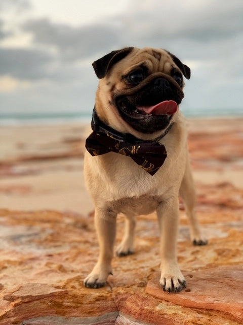 Collar & Bow Tie- Leopard