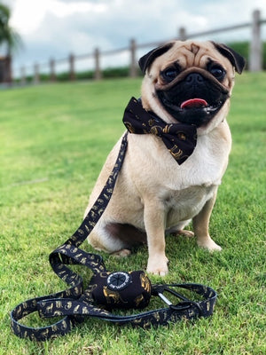 Poop Bag Holder- Leopard