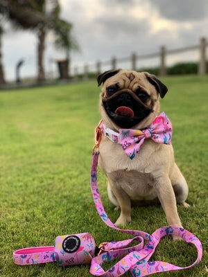 Collar & Bow Tie- Mermaid