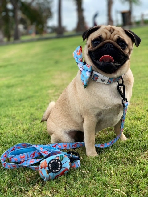 Poop Bag Holder- Seafood