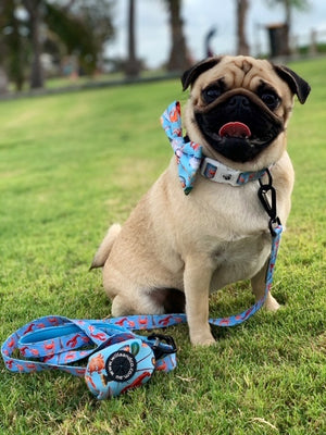 Poop Bag Holder- Seafood