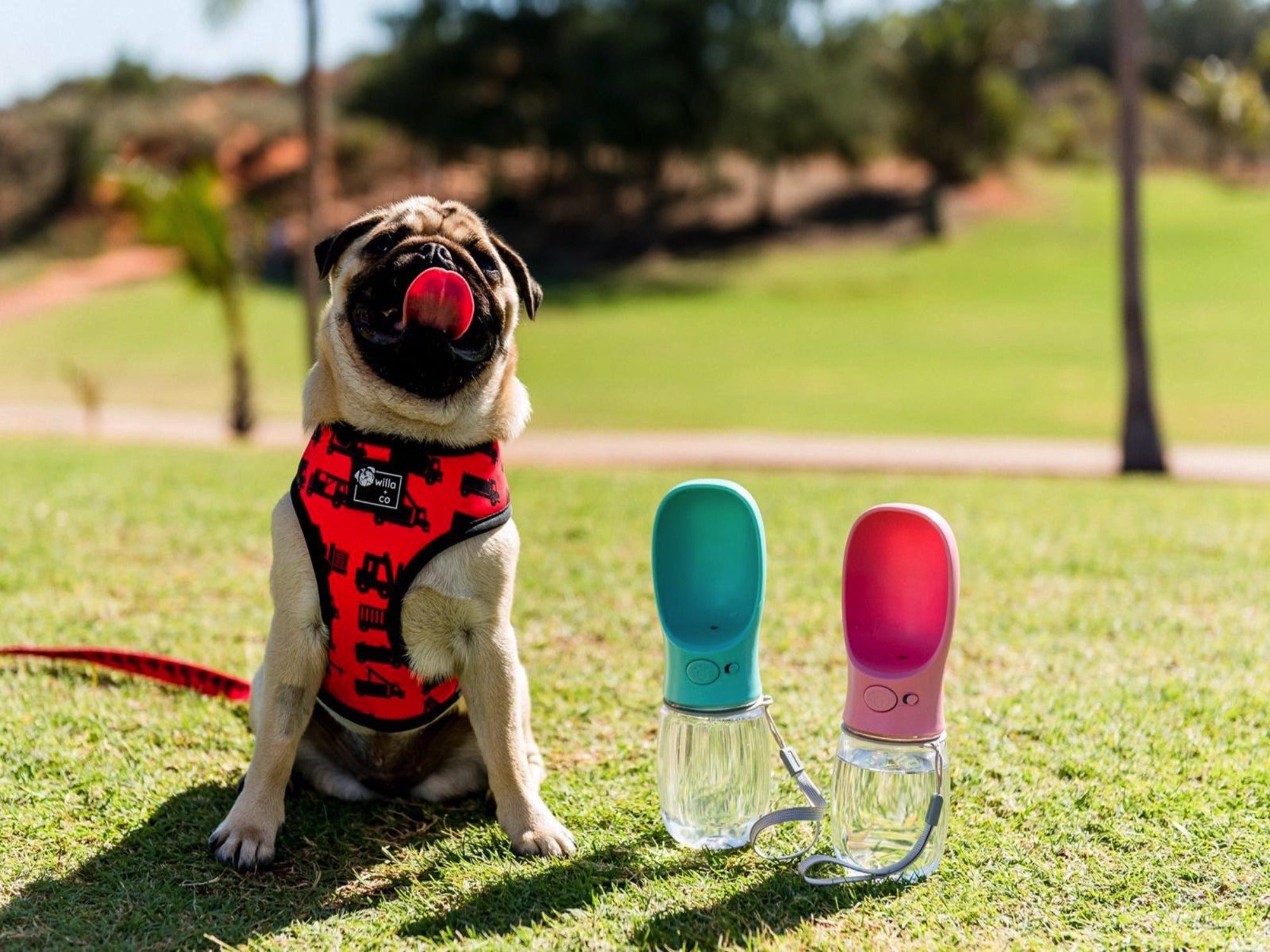 Dog Water Bottle
