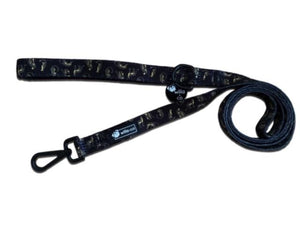 Leads- Leopard