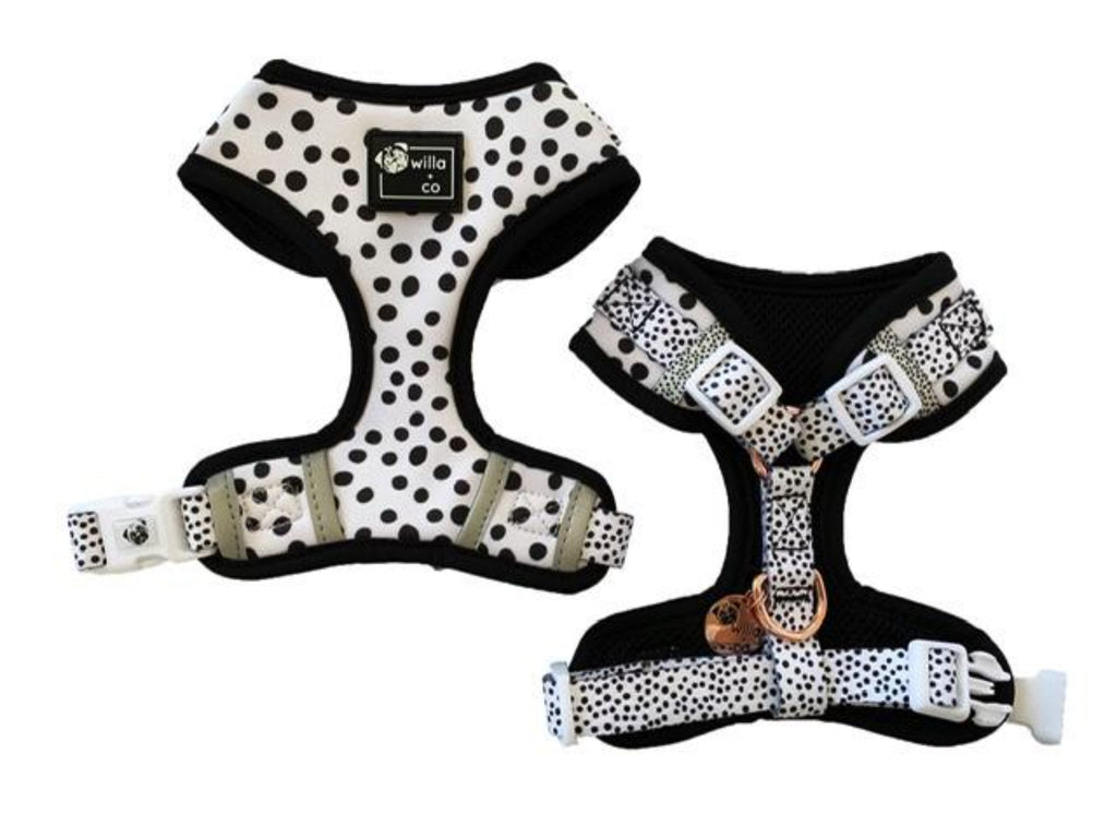 Adjustable Harness- Dots