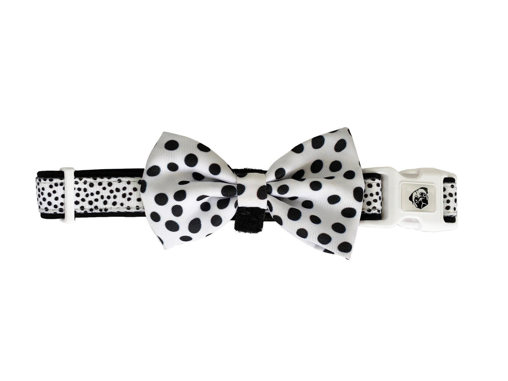 Collar & Bow Tie - Dots