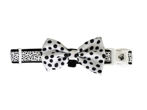 Collar & Bow Tie - Dots