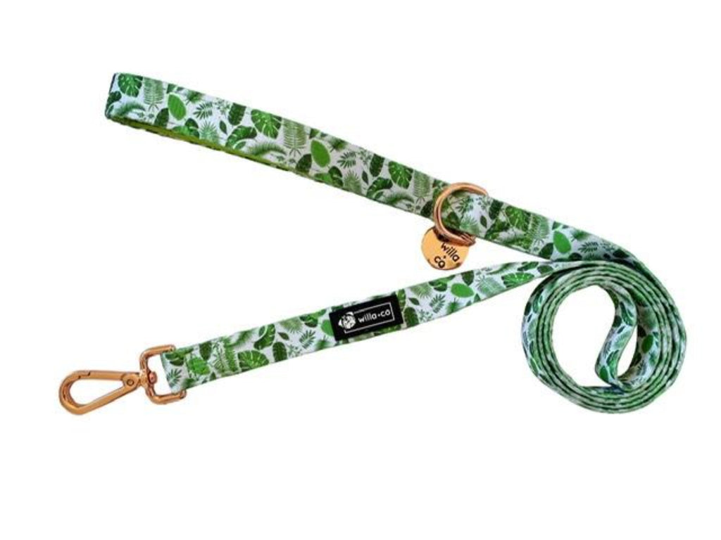 Leads - Palms