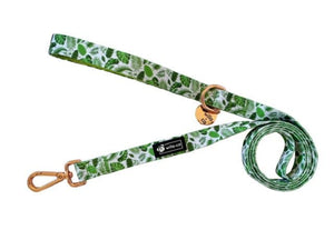 Leads - Palms