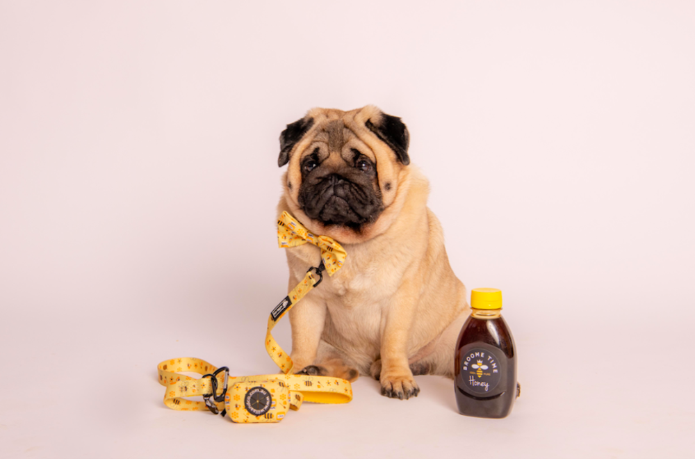 Poop Bag Holder - Bees